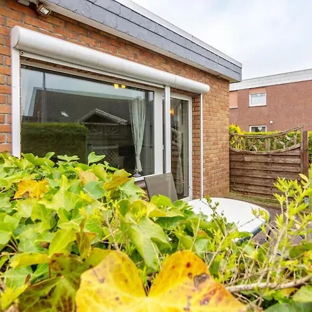 Flea In The Meeresblume *