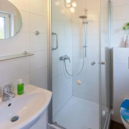 Flea In The Meeresblume *